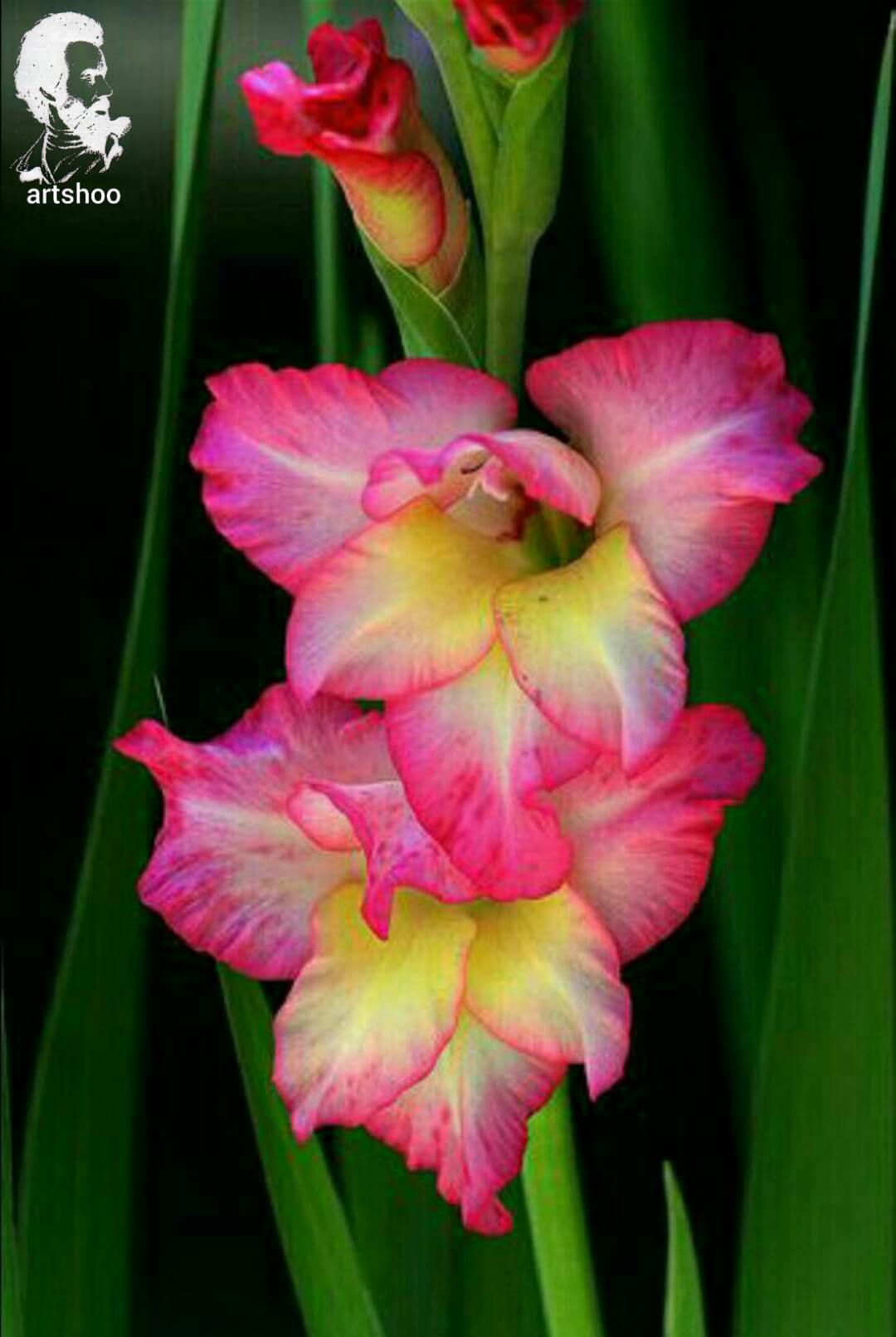 آموزش نقاشی رنگ روغن